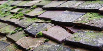 Newcastle Under Lyme roof repair costs